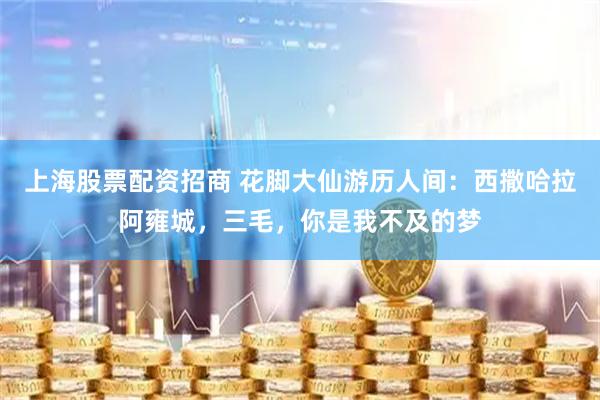 上海股票配资招商 花脚大仙游历人间：西撒哈拉阿雍城，三毛，你是我不及的梦