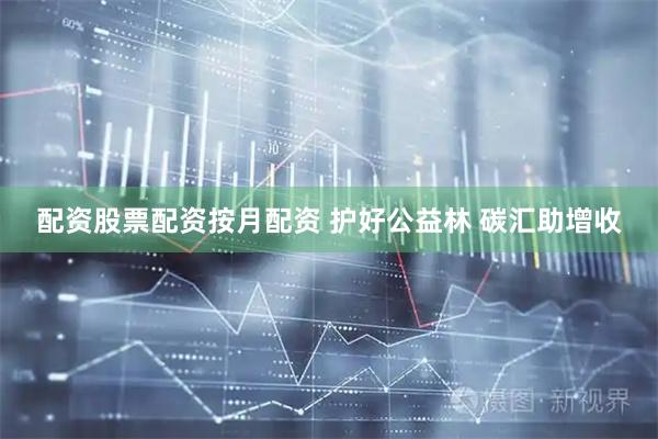 配资股票配资按月配资 护好公益林 碳汇助增收